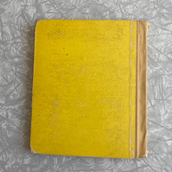 Weekend Sale! Vintage! The Adventures of Jimmy Skunk by Thornton W. Burgess - Picture 6 of 6